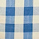 Powder Blue Gingham