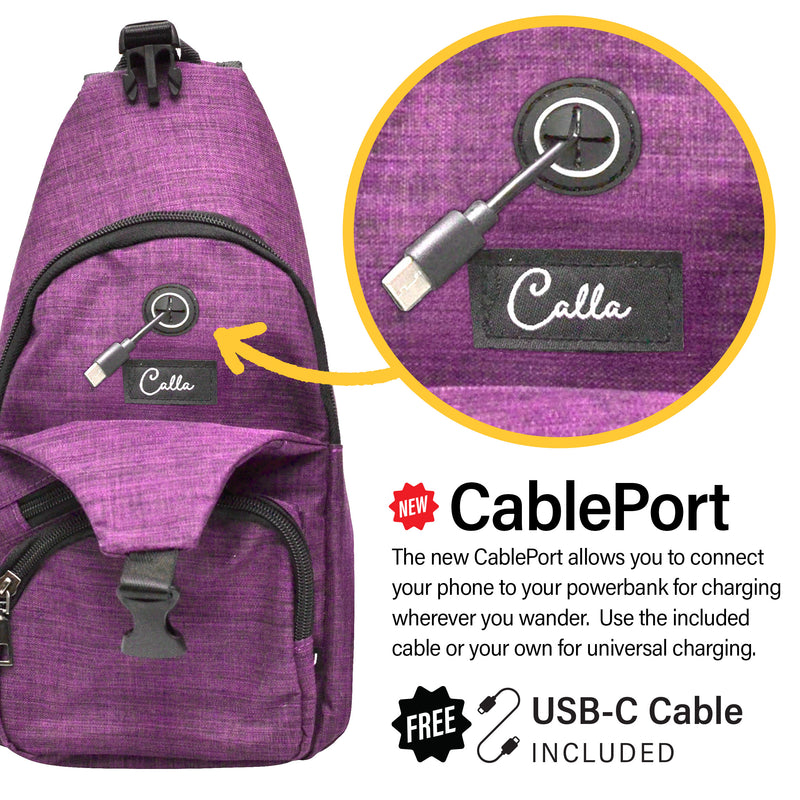 Nupouch Anti-theft Daypack with CablePort